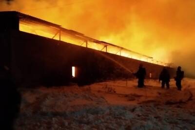 Костромские пожары: в селе Сущево сгорел склад с сеном