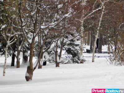 Стало известно о прогнозе погоды в новогоднюю ночь 1 января в Ростовской области