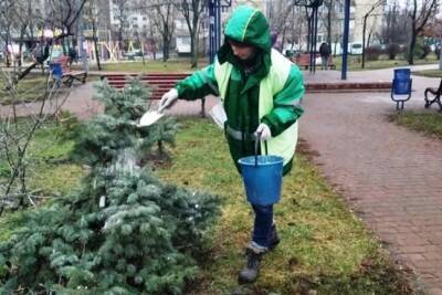 Накануне новогодних праздников в Киеве усилили охрану хвойных деревьев