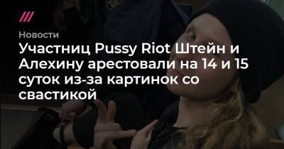 Участниц Pussy Riot Штейн и Алехину арестовали на 14 и 15 суток из‑за картинок со свастикой