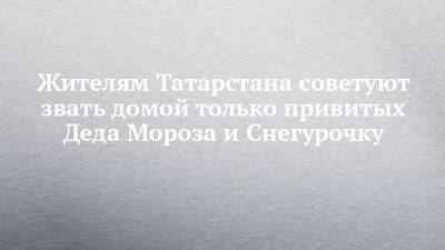 Жителям Татарстана советуют звать домой только привитых Деда Мороза и Снегурочку