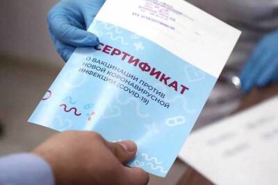 Тамара Фролова: «Введение единого сертификата — правильный подход в условиях пандемии»