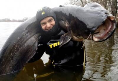 Рыбак из Днепра поймал сома весом 50 килограммов (фото)