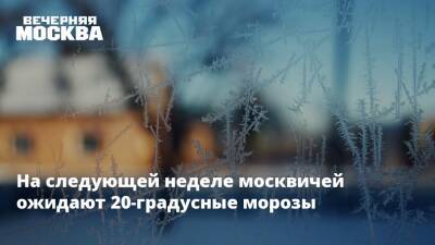 На следующей неделе москвичей ожидают 20-градусные морозы