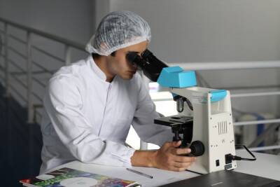 Смертельный вирус «омикрон» мог быть создан учеными в лаборатории
