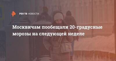 Москвичам пообещали 20-градусные морозы на следующей неделе