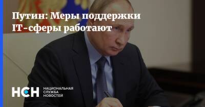 Путин: Меры поддержки IT-сферы работают