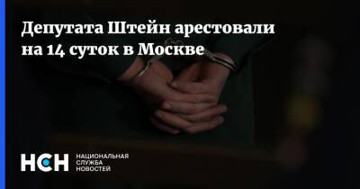 Депутата Штейн арестовали на 14 суток в Москве