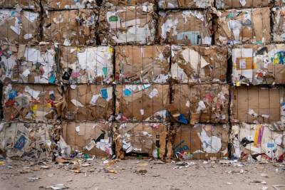 Зачем Ленобласть перенимает опыт переработки мусора у Московской области