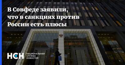 Сергей Цеков - В Совфеде заявили, что в санкциях против России есть плюсы - nsn.fm - Россия