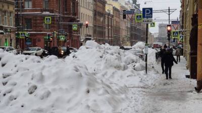 Вице-губернатор Петербурга Повелий оправдался за уборку снега заботой об обуви горожан