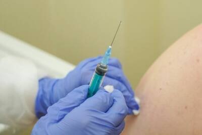 Первый компонент вакцины от коронавируса получили уже 81,3% жителей Воронежской области