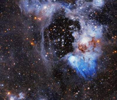 В NASA рассказали об отражательной туманности в созвездии Хамелеона