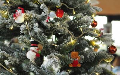 В школах Москвы пройдут новогодние елки с соблюдением мер безопасности