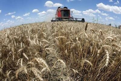РФ хочет установить квоту на экспорт пшеницы из РФ в 22г 8 млн тонн