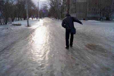 В Ростове в ближайшие сутки ожидается гололед и ураганный ветер