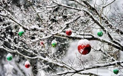 Выпадет ли снег на Новый год в Украине?: Климатолог дала однозначный ответ
