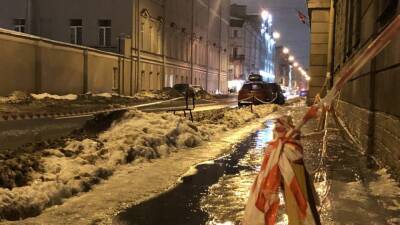 Соляные смеси на улицах Петербурга превратили выгул собак в тяжелое испытание