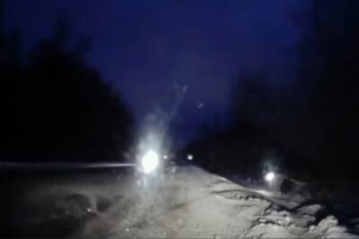 В Тверской области легковушка «ушла» в кювет, пытаясь избежать ДТП с лосем