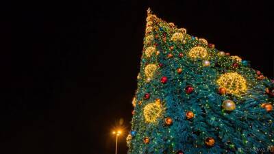 В Крыму запретили развлекаться у новогодней елки