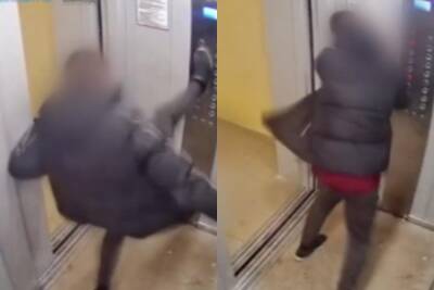 Сибиряк устроил драку с лифтом и попал на видео