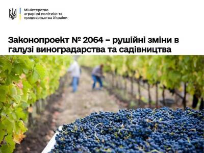 Верховная рада приняла закон о государственной поддержке виноделов и садоводов