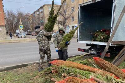 В Астрахани провели рейды против незаконной продажи елок