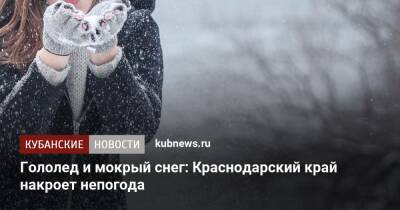 Гололед и мокрый снег: Краснодарский край накроет непогода