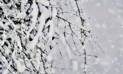 Снегопады и ветер принесет в Украину антициклон Zafira