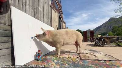 Картина, нарисованная талантливой свиньей, побила рекорд на аукционе (фото)