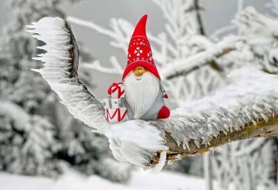 Какой будет погода на зимнего Николая: синоптики поделились снежным прогнозом