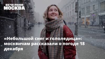 «Небольшой снег и гололедица»: москвичам рассказали о погоде 18 декабря