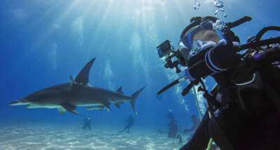 Аксессуары к камерам Go Pro 10 для любителей подводного плавания