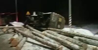 В ДТП микроавтобусом с лесовозом в Ярославской области пострадали 13 человек
