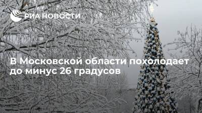 Синоптик Вильфанд: в Московской области похолодает до минус 26 градусов