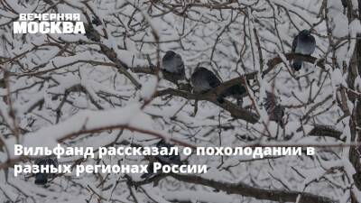 Вильфанд рассказал о похолодании в разных регионах России