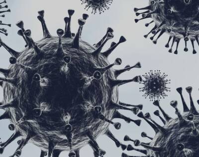 Пульмонолог Хамитов назвал условия для полного восстановления легких после коронавируса