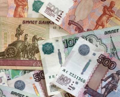 Экономист Цыганкова объяснила, почему не все россияне получат декабрьские зарплаты до Нового года