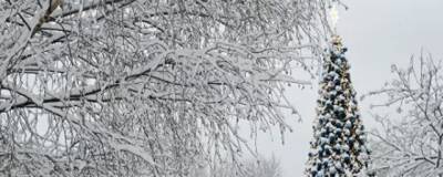 Синоптик Вильфанд: В Московской области ожидаются морозы до -26 °C