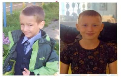 Пропавших в Смоленской области детей нашли