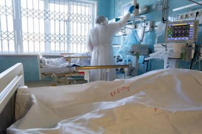 В Новосибирской области выявили 390 новых случаев заболевания COVID-19