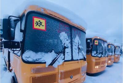 Для шести школ Лужского района закупили новые автобусы