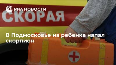 В Московской области на девочку напал скорпион из мешка с игрушками