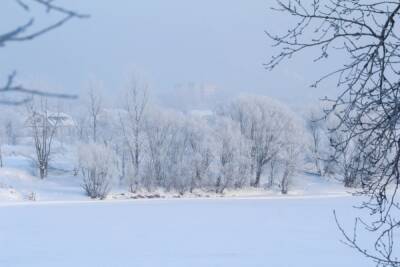 Жителей Тверской области предупредили о тридцатиградусном морозе