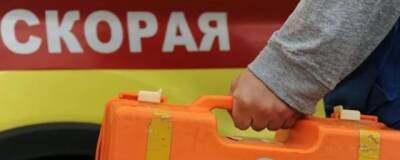 В Московской области девочку укусил скорпион, оказавшийся в мешке с игрушками
