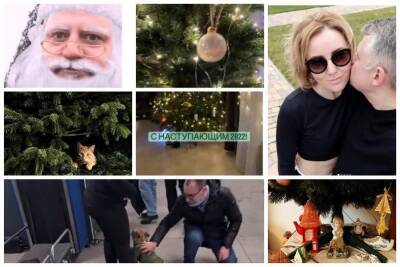 Элиты Черноземья в Instagram: кот против елки, адвокат для собаки и счастливые 19 лет в браке