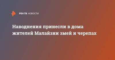 Малайзия - Наводнения принесли в дома жителей Малайзии змей и черепах - ren.tv - Малайзия