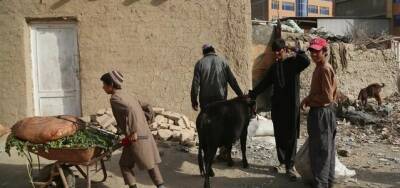 Ситуация тяжелая, но привычная — эксперт о голоде в Афганистане