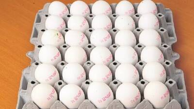 Одед Форер - Птицефермы в Израиле требуют повысить цены на яйца, минфин против - vesty.co.il - Израиль