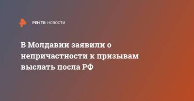 Вадим Красносельский - Олег Васнецов - В Молдавии заявили о непричастности к призывам выслать посла РФ - ren.tv - Россия - Молдавия - Приднестровье